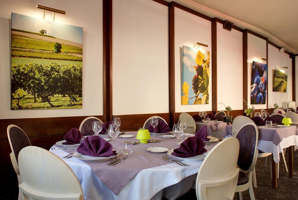 Logis Hotel-Restaurant Le Chene Vert Saint-Pourçain-sur-Sioule Esterno foto